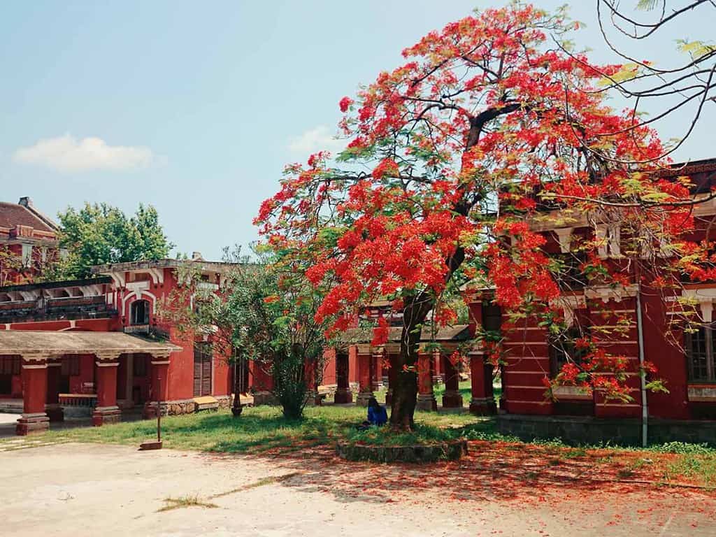 Trường Quốc Học Huế - Chiêm ngưỡng vẻ đẹp đậm chất trời Âu tại cố đô 17