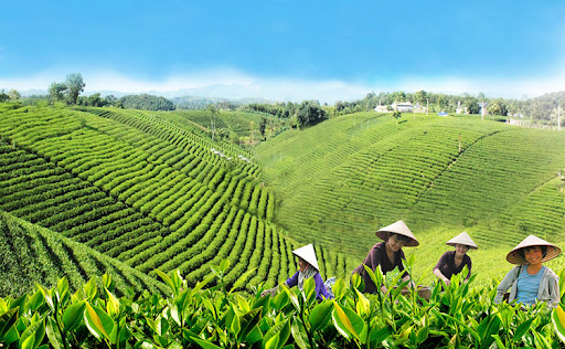 Lịch trình khám phá Thái Nguyên trong ngày