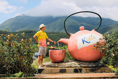 Kolia Resort (Nguyên Bình) 15