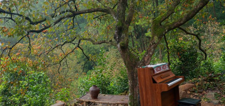 Đại Huệ Farmstay – Vườn Hồng Nam Anh Giữa Lòng Xứ Nghệ