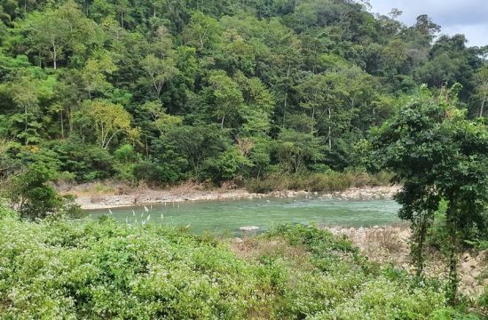Phát huy “kho báu” Vườn Quốc gia Phước Bình (Khánh Hoà) gắn với phát triển du lịch sinh thái 15
