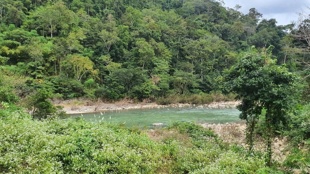 Phát huy “kho báu” Vườn Quốc gia Phước Bình (Khánh Hoà) gắn với phát triển du lịch sinh thái 1