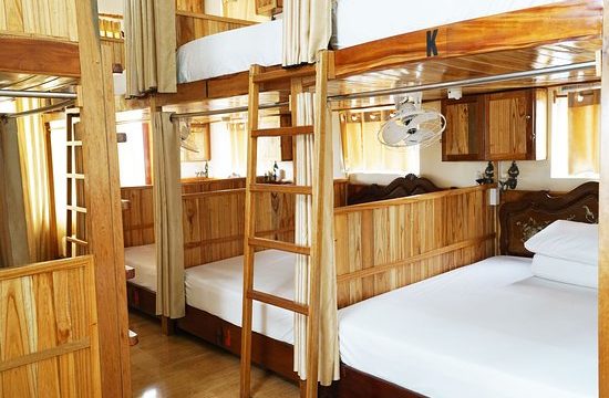 Why Not Hostel Huế – Nơi kết nối giữa du khách quốc tế và không gian văn hóa phố cổ 29