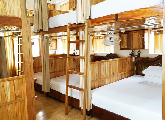 Why Not Hostel Huế – Nơi kết nối giữa du khách quốc tế và không gian văn hóa phố cổ 1