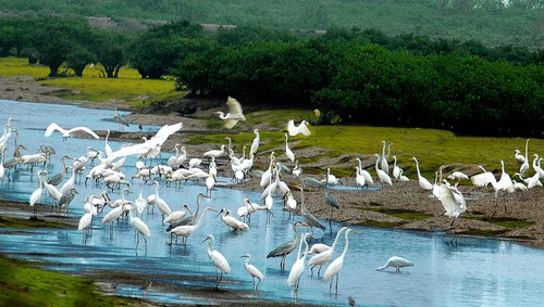 Lịch trình 3 ngày 2 đêm: Vượt khỏi ranh giới, khám phá Ninh Bình (mới) qua lăng kính văn hóa Hà Nam và Nam Định! 7