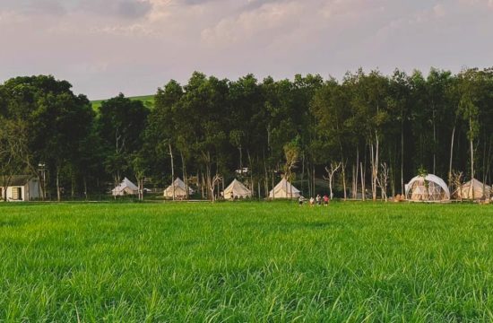 The Fields of Phủ Quỳ – Camping Giữa Cánh Đồng Cỏ Xanh Mướt Ở Đông Hiếu 20