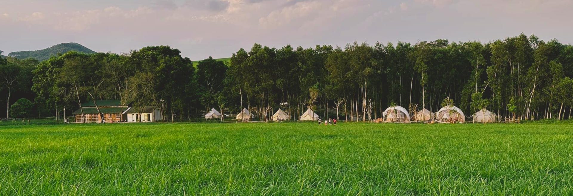 The Fields of Phủ Quỳ – Camping Giữa Cánh Đồng Cỏ Xanh Mướt Ở Đông Hiếu 1