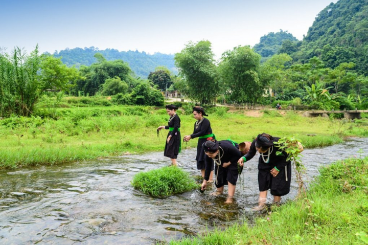 Rêu đá - Vật phẩm quá giá thiên nhiên ban tặng 3