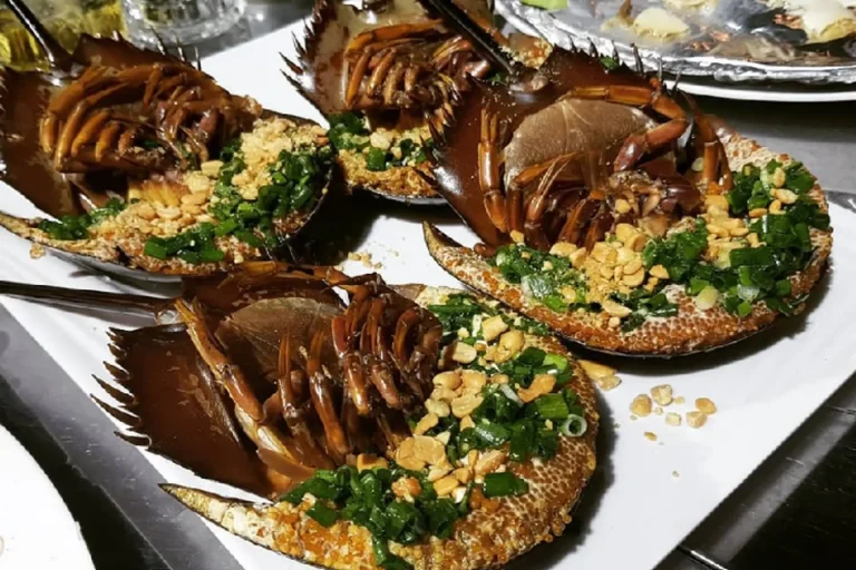 Sam biển Quảng Ninh – Đặc sản “độc lạ” gắn với huyền thoại tình yêu biển cả