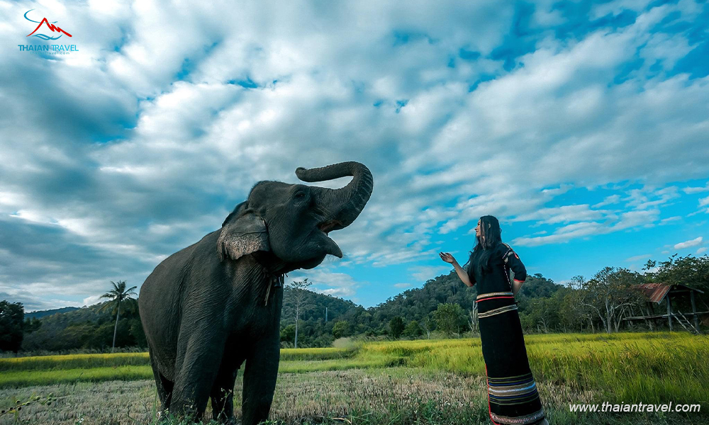 Tour Du lịch Đắk Lắk 3 ngày 2 đêm 1