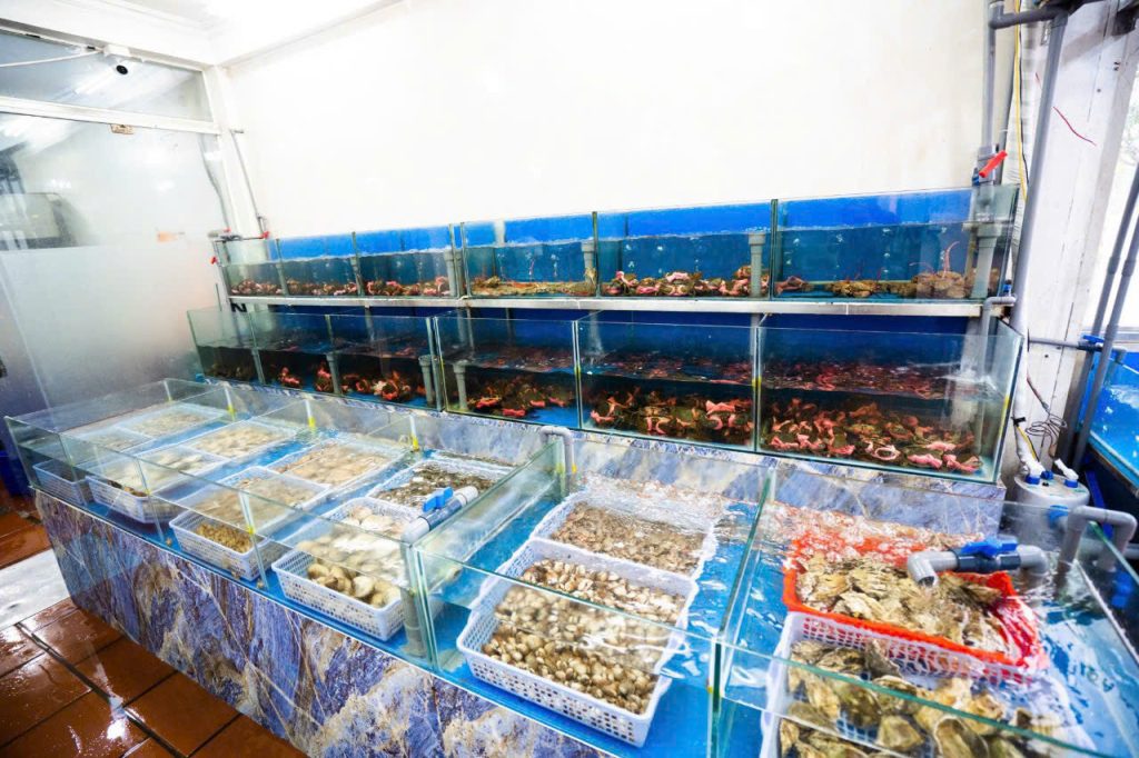 Nhà hàng Hoa Sơn – nhà hàng Hạ Long hải sản tươi ngon chuẩn Quảng Ninh 7
