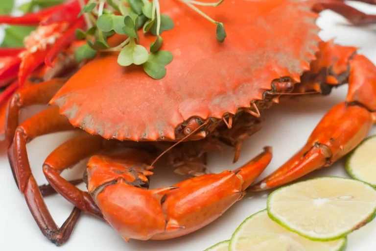 Cua Đá Hấp Bia – Đặc Sản “Độc Lạ” ở Bãi Cháy