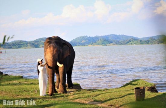 Doanh thu hoạt động du lịch huyện Lắk đạt gần 16,6 tỷ đồng 3