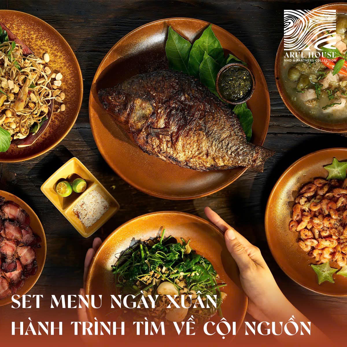 Arul House – “Hơi Thở Hiện Đại Giao Hòa Với Núi Rừng Buôn Ma Thuột” 3