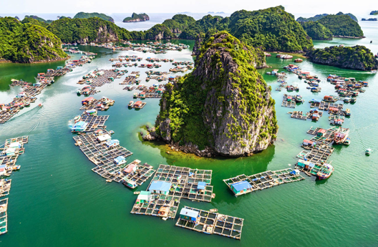 Làng Chài Cửa Vạn – Viên Ngọc Bình Yên Giữa Lòng Vịnh Hạ Long 22