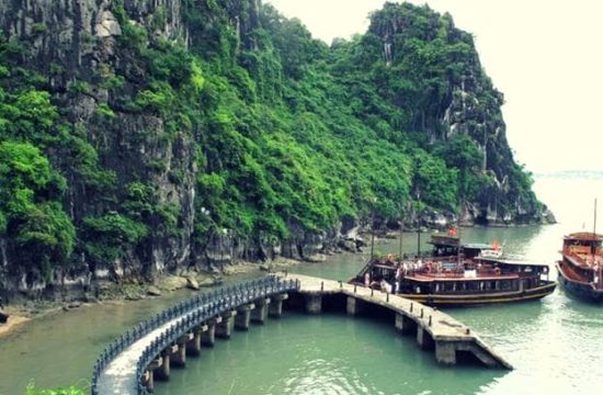 Đảo Đầu Gỗ – Tuyệt tác thiên nhiên giữa lòng di sản Hạ Long 11