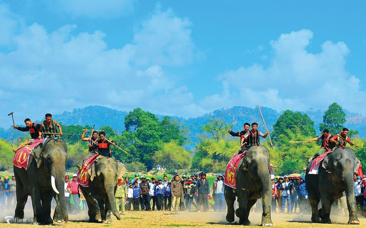Tour Đắk Lắk 1 ngày - Tour Buôn Ma Thuột cưỡi voi 3