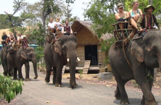 Tour Đắk Lắk 1 ngày - Tour Buôn Ma Thuột cưỡi voi 5