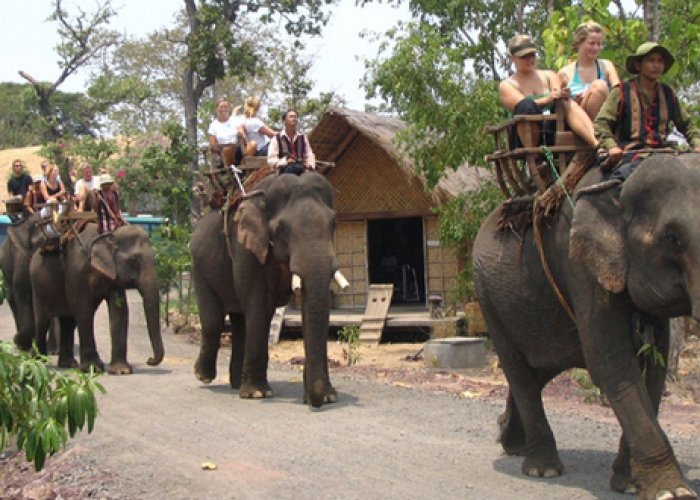 Tour Đắk Lắk 1 ngày – Tour Buôn Ma Thuột cưỡi voi
