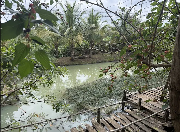Snô DakLak – "Omakase" Đồng Bào: Món Ăn Cận Cảnh Văn Hóa Tây Nguyên 1