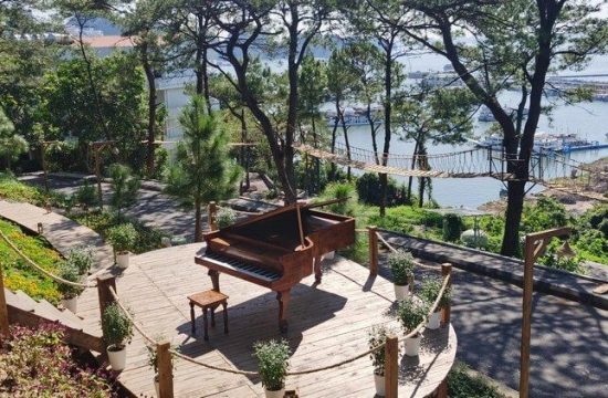 Thông Zeo Coffee – Quán café giữa rừng thông thơ mộng tại Hạ Long 19