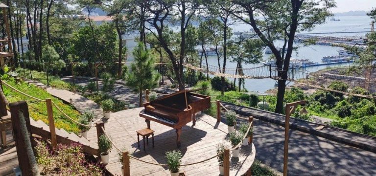 Thông Zeo Coffee – Quán café giữa rừng thông thơ mộng tại Hạ Long