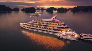 Sea Stars Cruise Ha Long 5