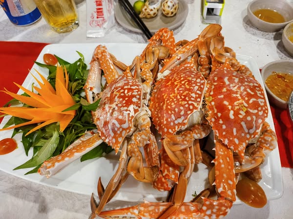 Tuấn Mập Sài Gòn – Chi nhánh Buôn Ma Thuột: Hương vị Việt hội tụ, ấm lòng phố núi 3