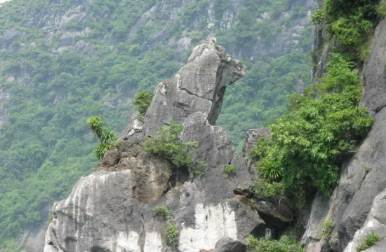 Tour Quảng Ninh 2 Ngày 1 Đêm – Hà Nội – Hạ Long – Bãi Cháy 27