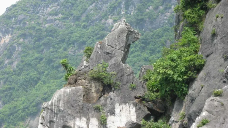 Tour Quảng Ninh 2 Ngày 1 Đêm – Hà Nội – Hạ Long – Bãi Cháy