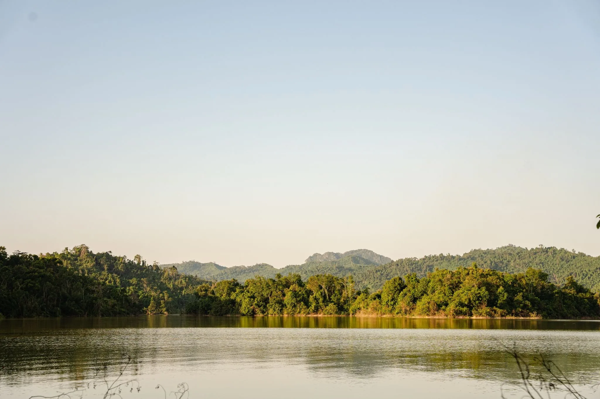 Vườn Quốc Gia Bến En: Khám Phá “Viên Ngọc Xanh” Xứ Thanh 4 Vườn Quốc Gia Bến En: Khám Phá “Viên Ngọc Xanh” Xứ Thanh 3