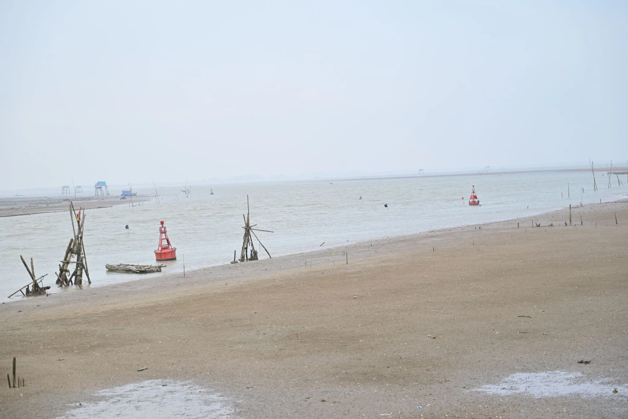 Review Biển Hải Bình: Đẹp thanh bình, hải sản tươi ngon ăn thả ga 1 bien-hai-binh