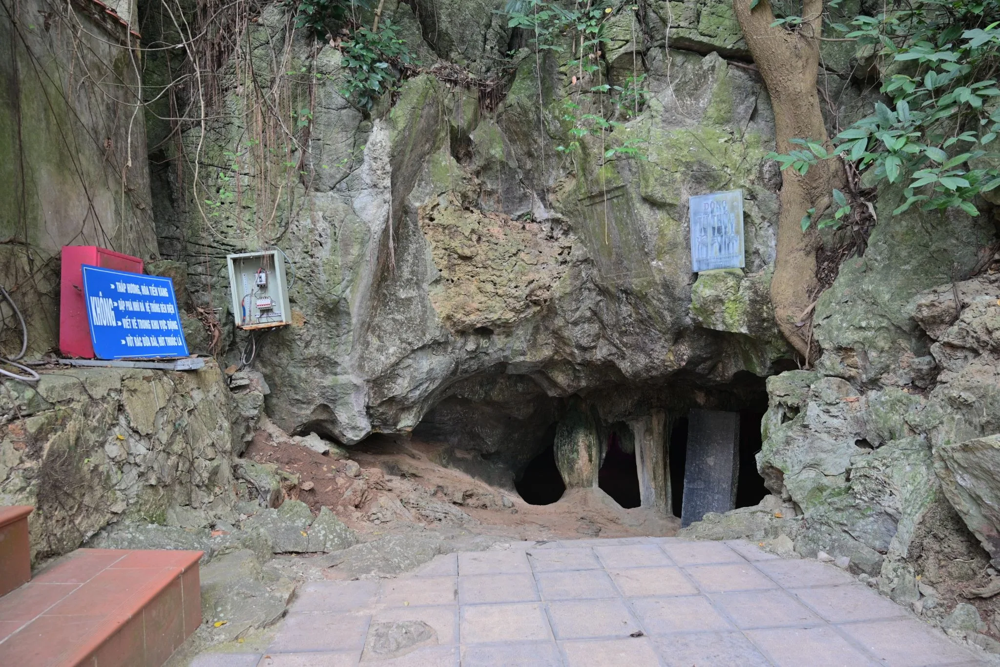 Động Từ Thức - Nét Đẹp Huyền Bí Bậc Nhất Xứ Thanh 2 Động Từ Thức - Nét Đẹp Huyền Bí Bậc Nhất Xứ Thanh 1