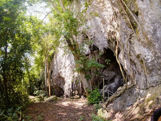 Hang Con Moong: Cẩm nang khám phá di tích quốc gia đặc biệt xứ Thanh 4 Hang Con Moong: Cẩm nang khám phá di tích quốc gia đặc biệt xứ Thanh 3