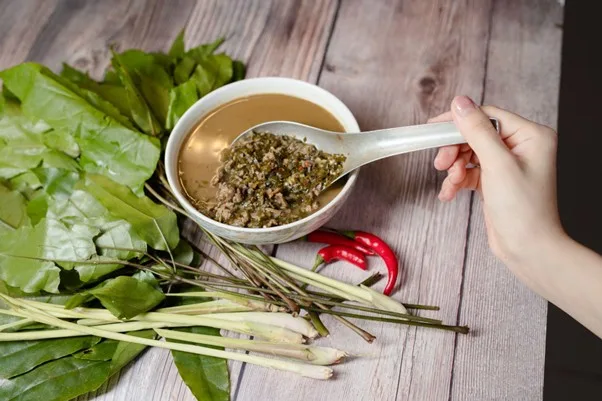 Lá Đắng Thanh Hóa - Hương Vị "Đắng Mà Say" Của Xứ Thanh 2 Lá Đắng Thanh Hóa - Hương Vị "Đắng Mà Say" Của Xứ Thanh 1